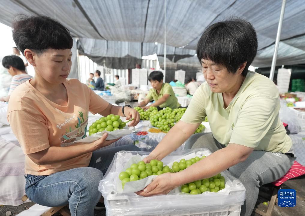威尼斯在线官方网站